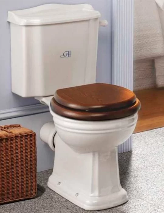 WC monobloc en céramique blanche Balasani, de Gentry Home WC monobloc en céramique blanche Balasani, de Gentry Home