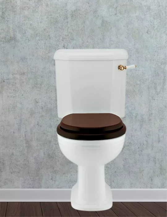 WC vintage monobloc Victorian, de Gentry Home