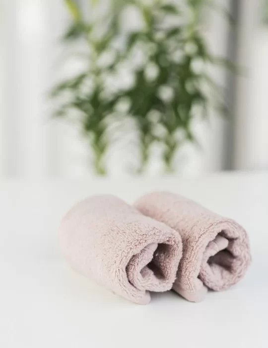 Lot de 2 serviettes de Spa 30x30 cm. Luin Living