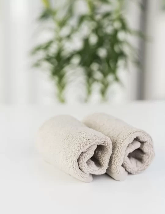 Lot de 2 serviettes de Spa 30x30 cm. Luin Living