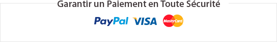 Logo des paiements de produits